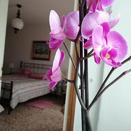 Apartman Antica Officina *